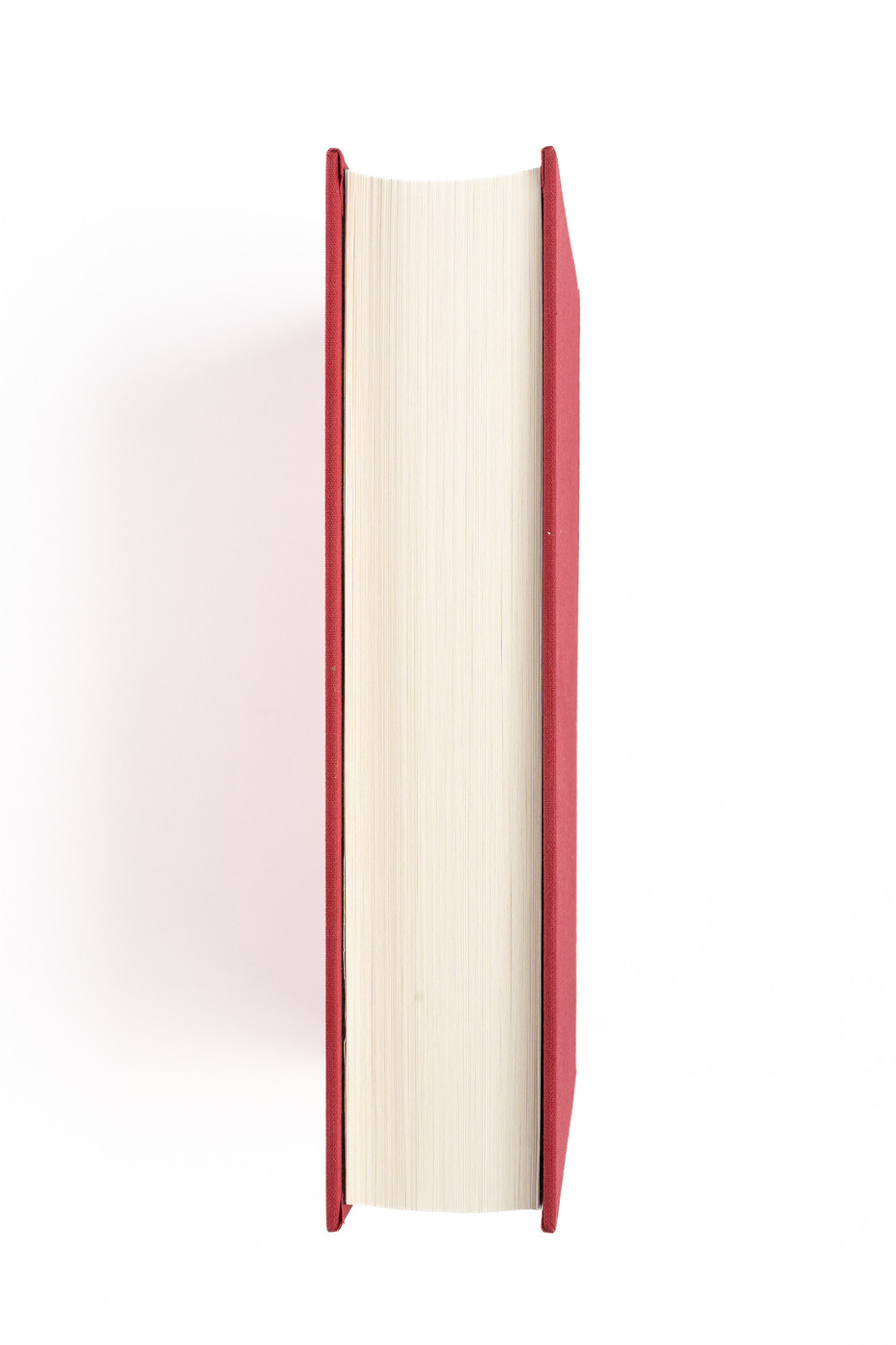 Red Rabbit