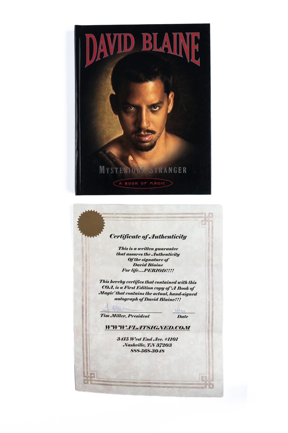 Mysterious Stranger: A Book of Magic