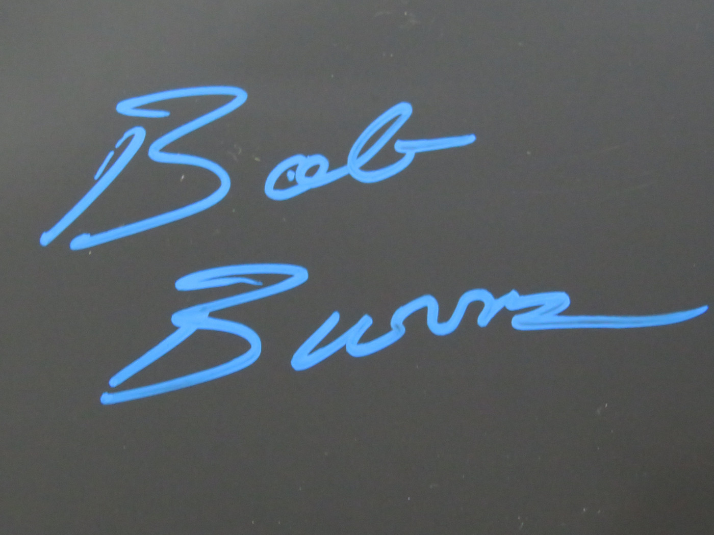 Lynyrd Skynyrd Signed Drumhead