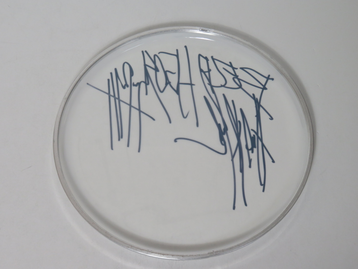 Belphegor Signed Drumhead