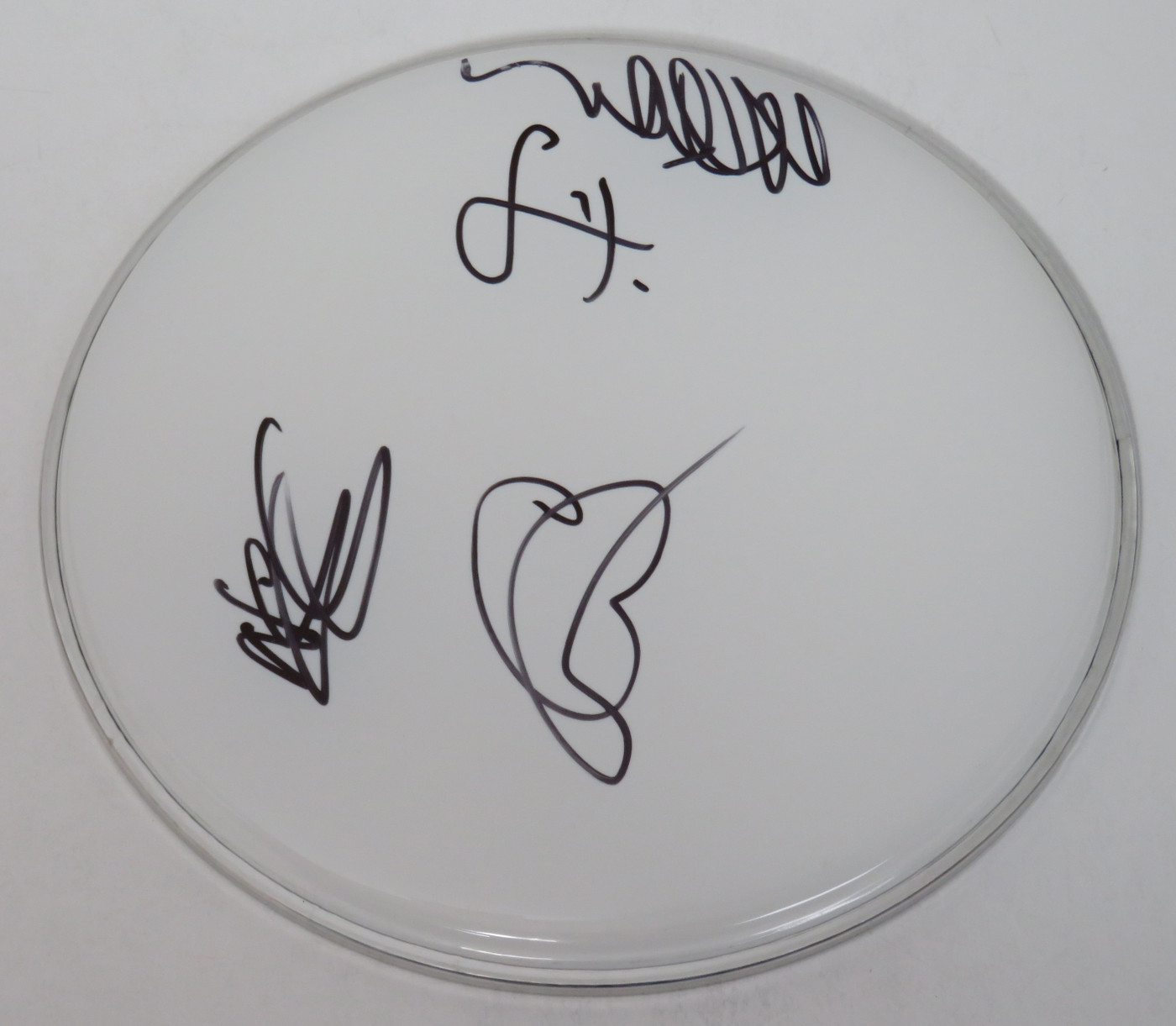 Baroness Signed Drumhead