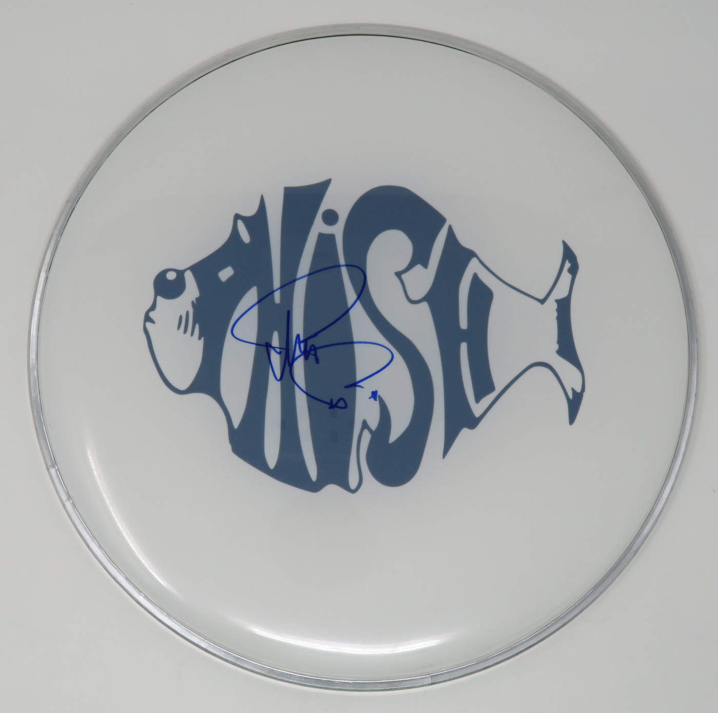 Phish Signed Drumhead