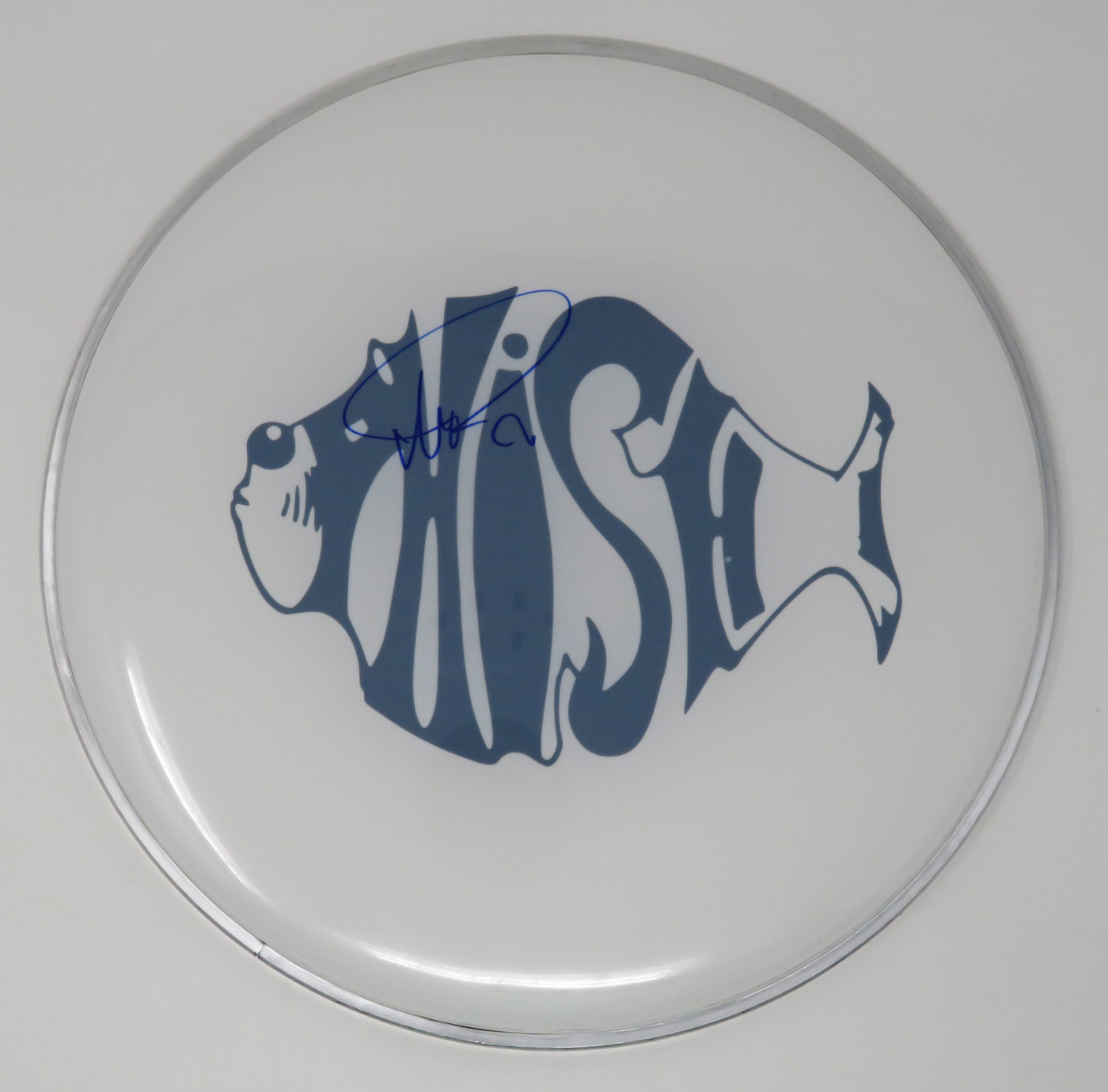 Phish Signed Drumhead