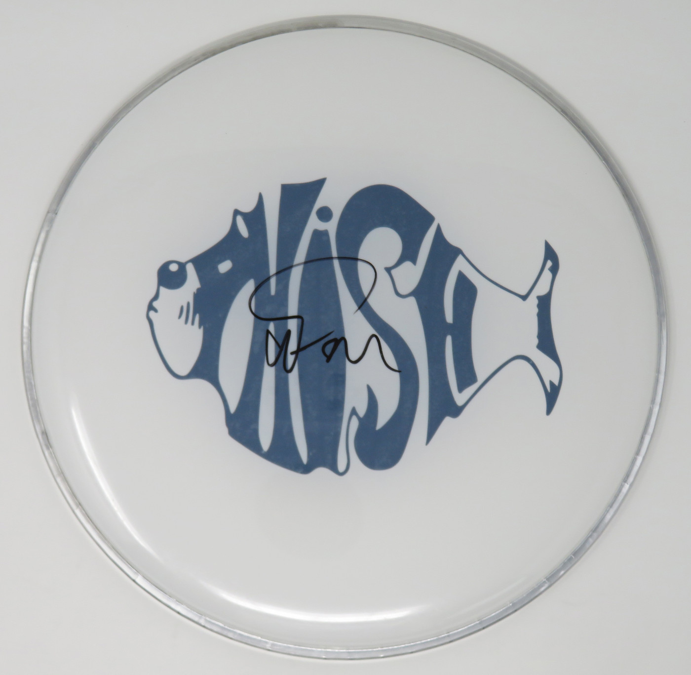 Phish Signed Drumhead