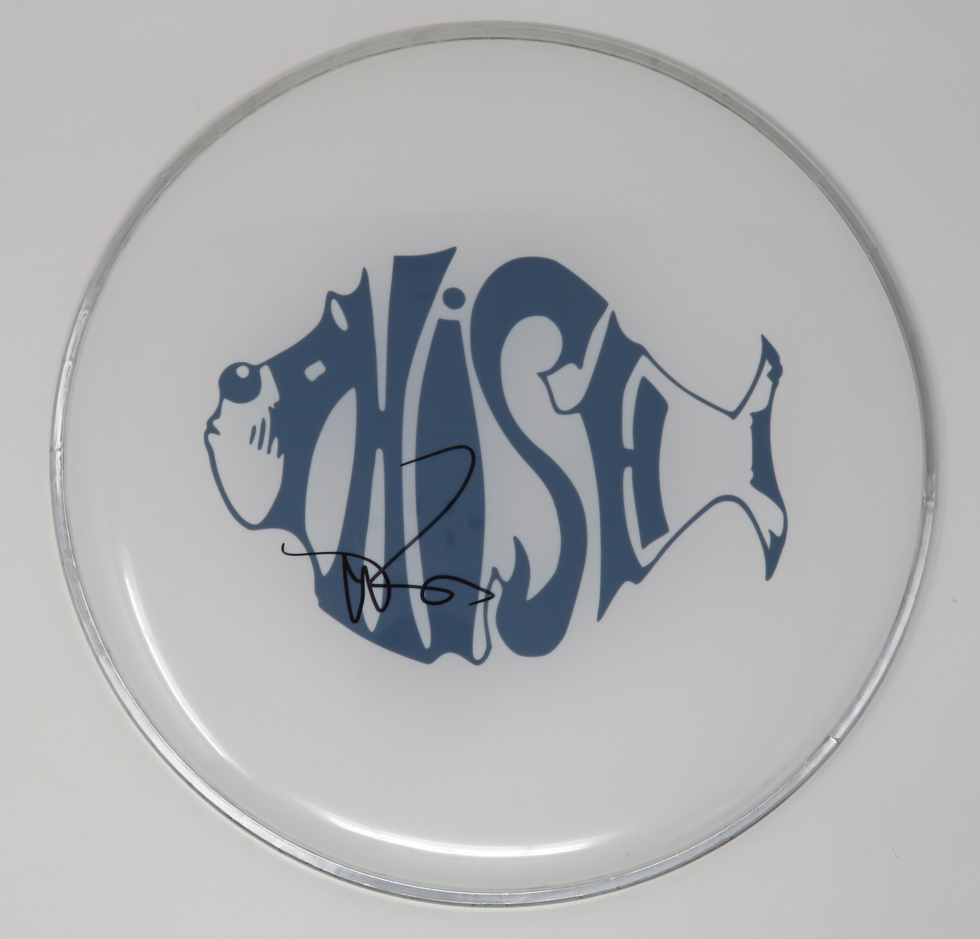 Phish Signed Drumhead