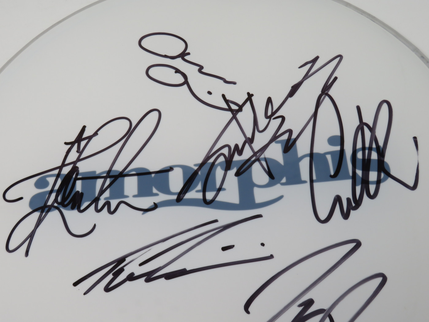 Amorphis Signed Drumhead