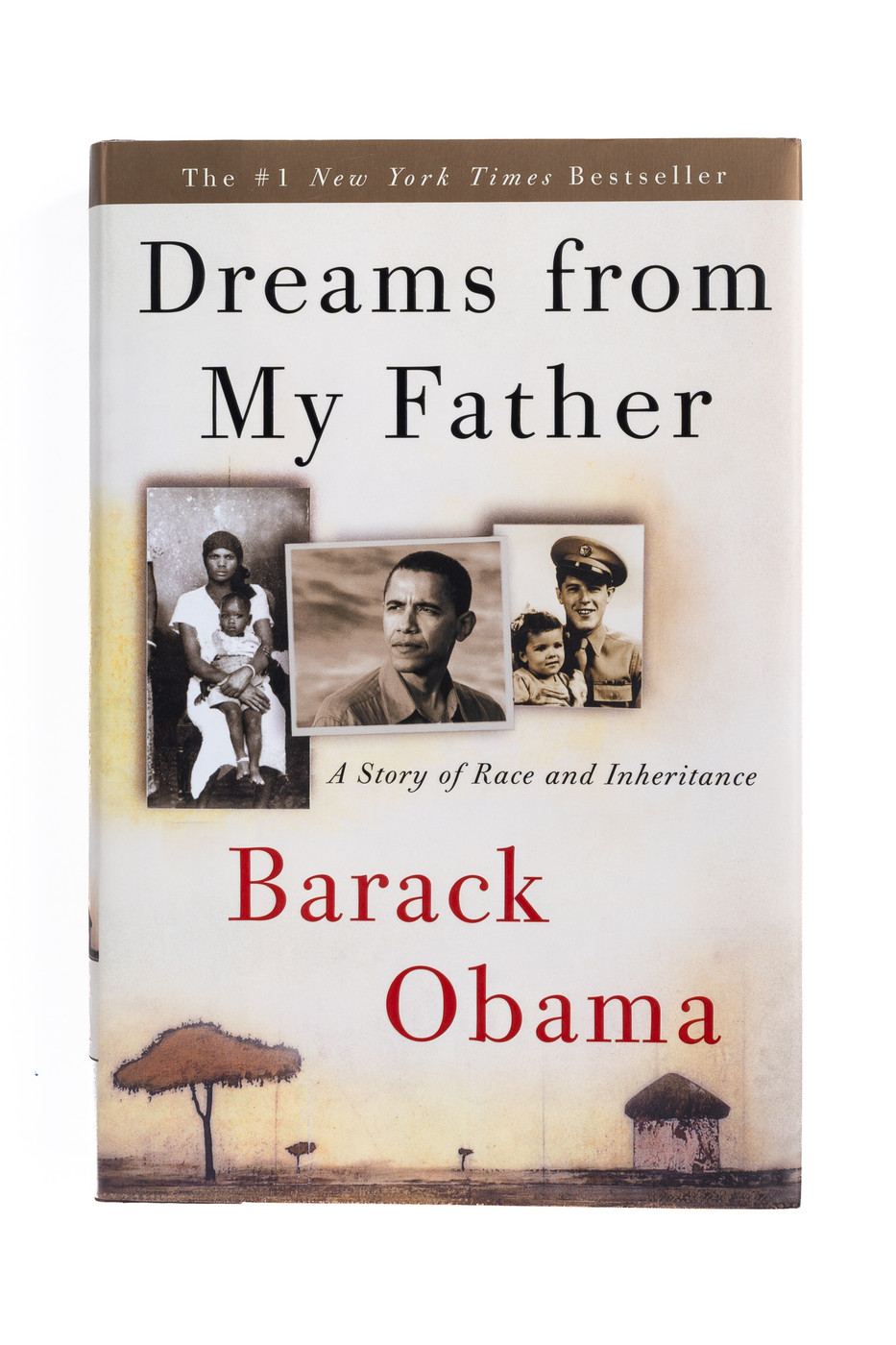 Dreams from My Father: A Story of Race and Inheritance
