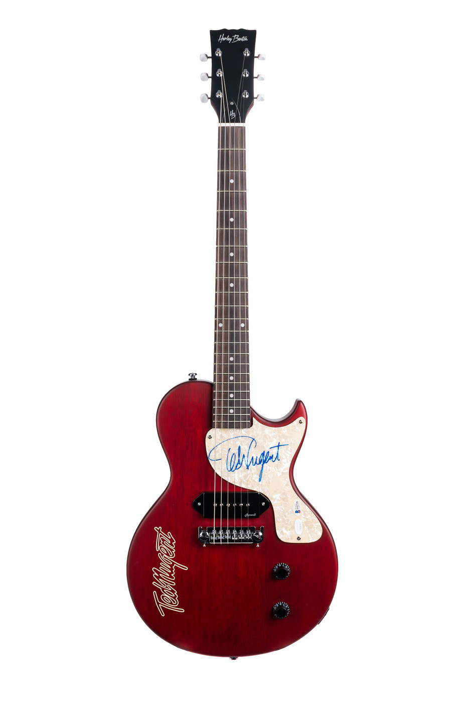 Ted Nugent Guitar
