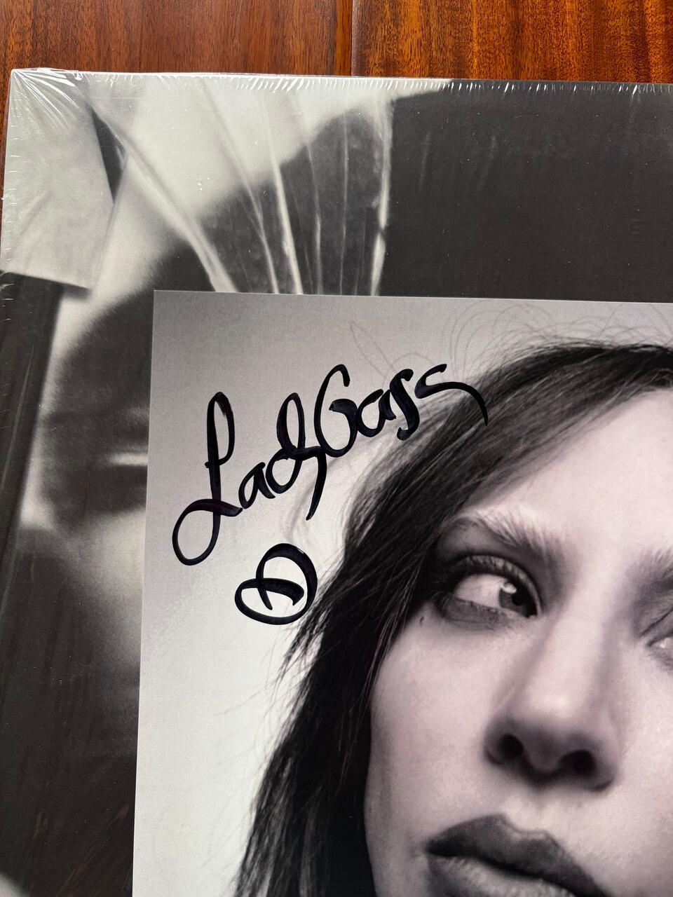 Lady Gaga Signed 