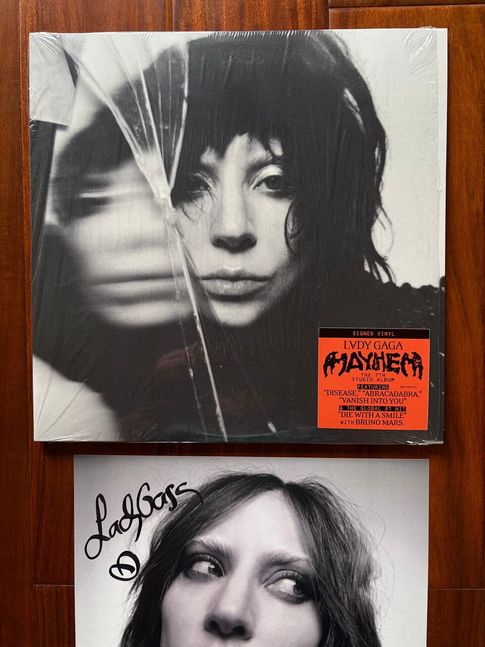 Lady Gaga Signed 