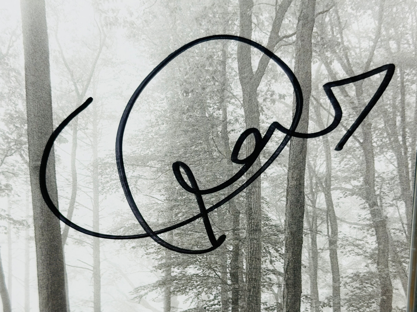 Taylor Swift folklore CD サイン付き　未開封 Taylor Swift Signed Folklore CD Cover w/ Gray Vinyl LP, CD