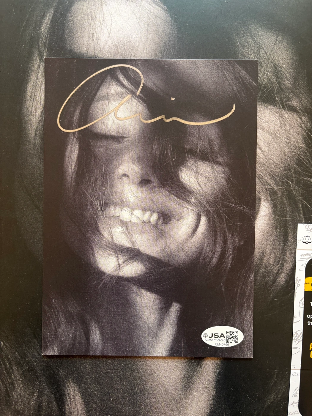 Ariana Grande Signed Petal Vinyl Insert Signature Silver Ink JSA COA