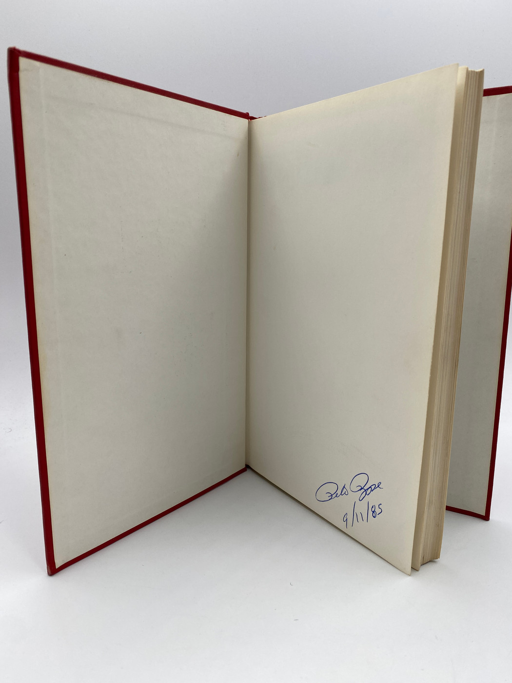 Countdown to Cobb: My Diary of the Record Breaking 1985 Season