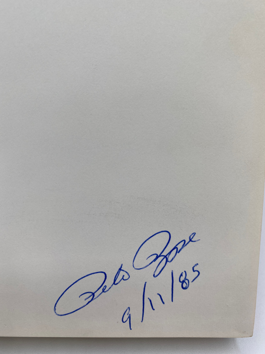 Countdown to Cobb: My Diary of the Record Breaking 1985 Season