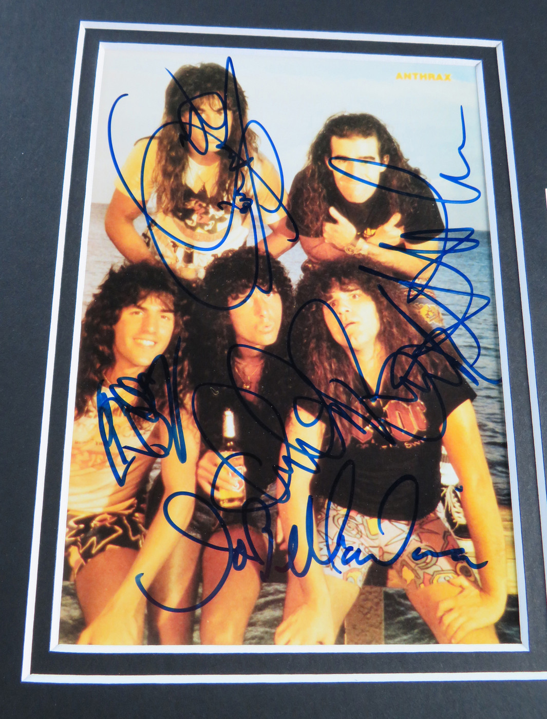 Anthrax Signed Matted Display