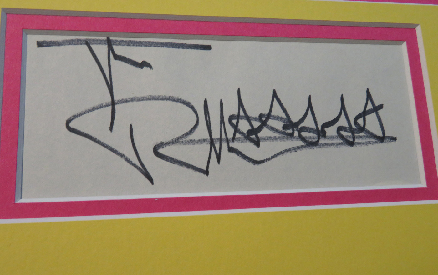 Sex Pistols Signed Matted Display - Sex Pistols (Signed Sheet Music)