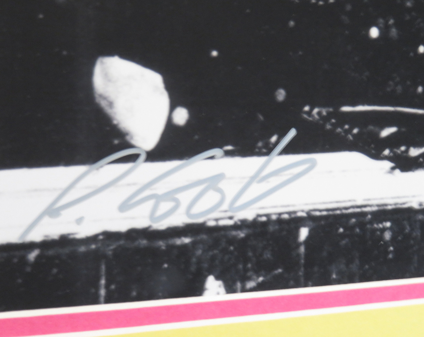 Sex Pistols Signed Matted Display