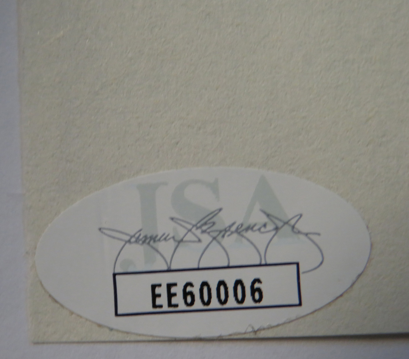 Sex Pistols Signed Matted Display - Sex Pistols (Signed Sheet Music)