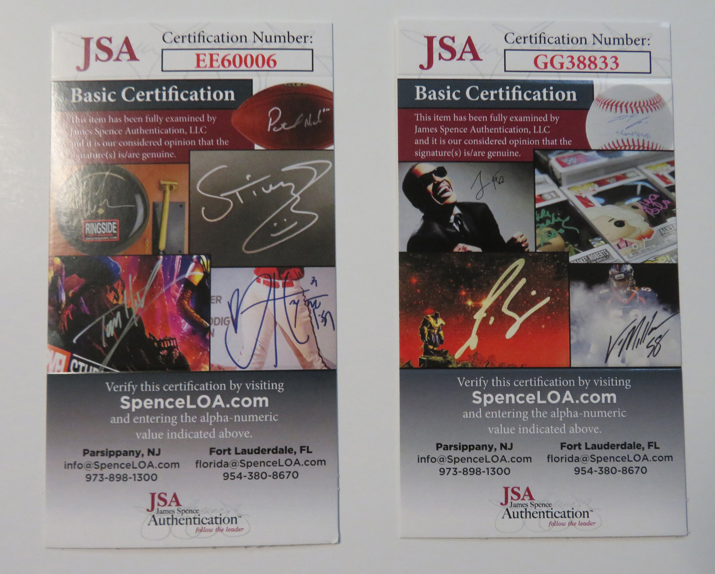 Sex Pistols Signed Matted Display