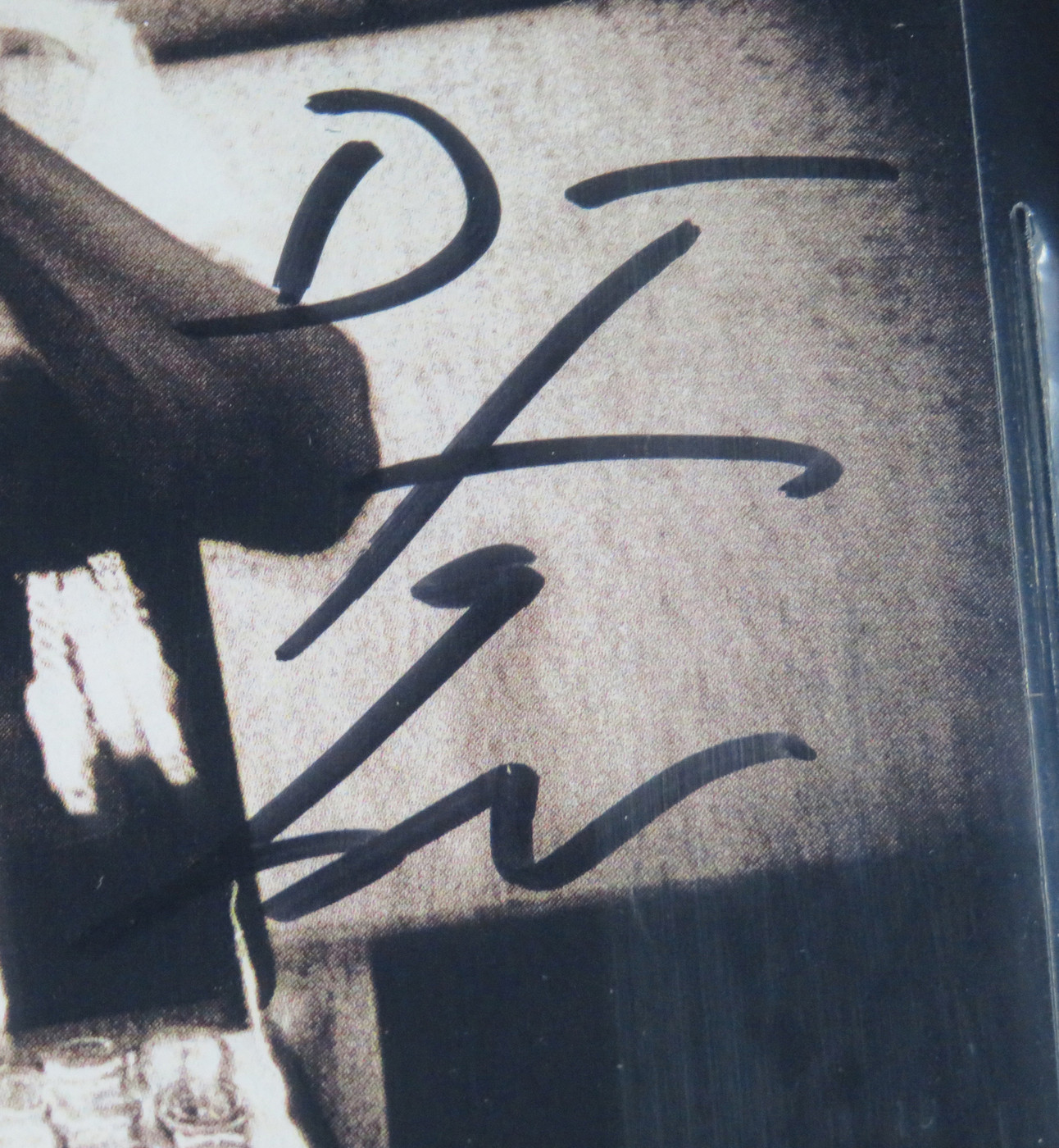 Steely Dan Signed Framed Display