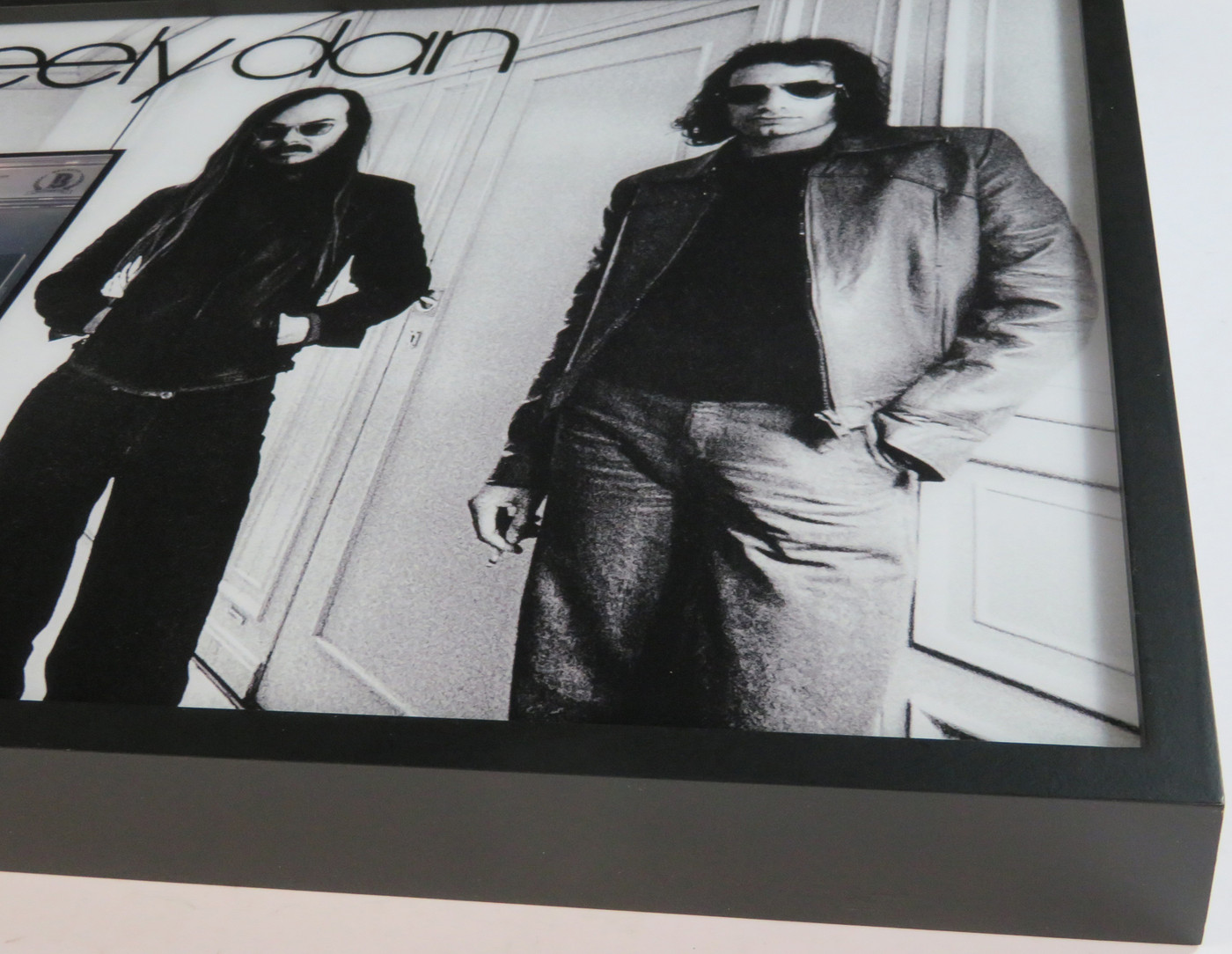 Steely Dan Signed Framed Display