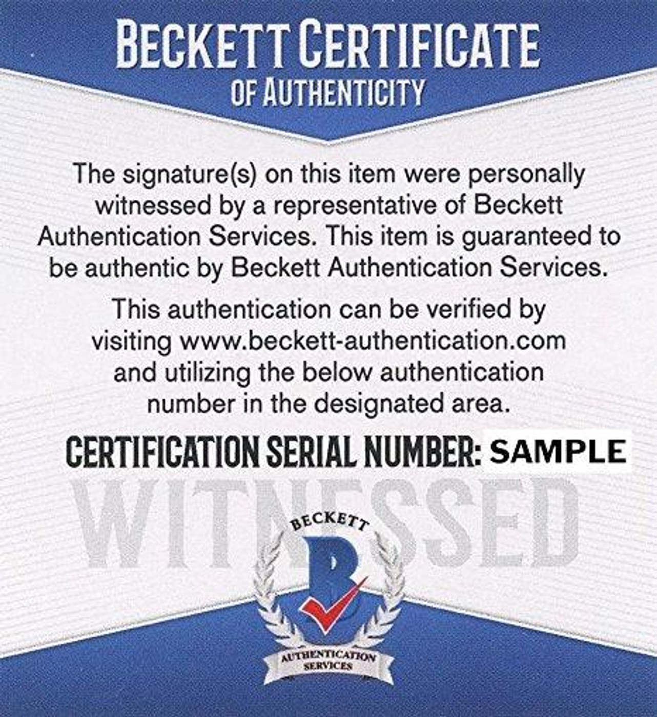 Adam Shaheen Autographed Chicago Bears Football 16x20 Photo (Beckett)