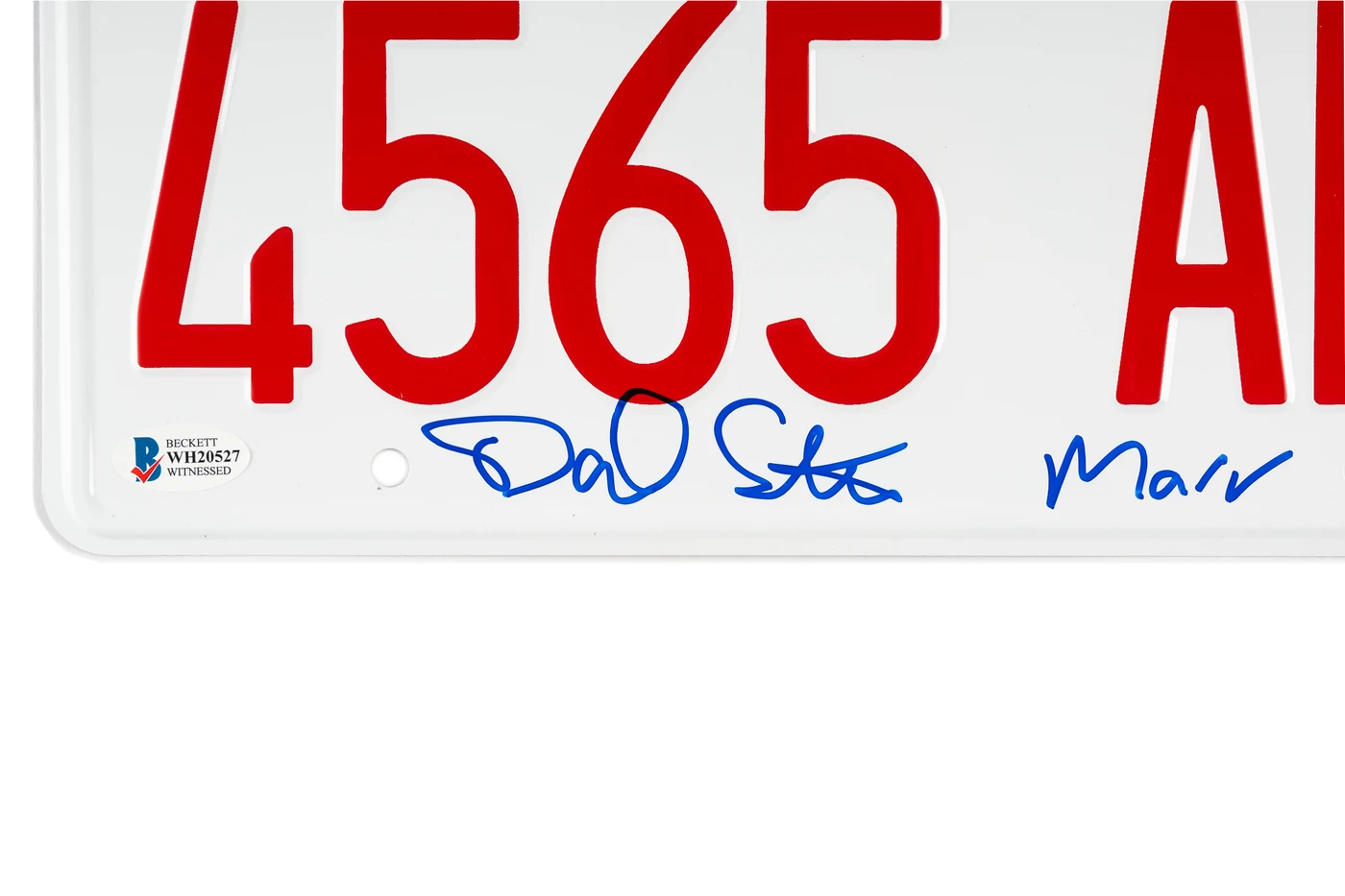 Daniel Stern Home Alone Van Plate