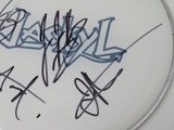 Jackyl Signed Drumhead FF51532