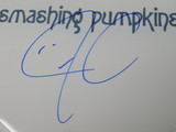 Smashing Pumpkins Signed Drumhead RR58728