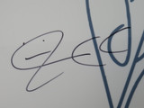 Smashing Pumpkins Signed Drumhead RR58743