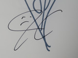 Smashing Pumpkins Signed Drumhead AQ12254