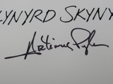 Lynyrd Skynyrd Signed Drumhead RR58805