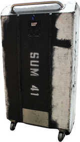 SUM41 Stage-Used Dummy Bass Cabs