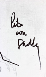 Pete Von Sholly  Signed 11x14 Original Art Darkman Sketch Canvas BAS #D94459
