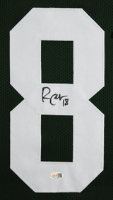 Randall Cobb Authentic Signed Green Pro Style Framed Jersey JSA Witnessed