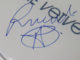 The Verve Signed Drumhead