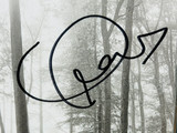 Taylor Swift Signed "Folklore" CD Cover with/ Double LP, CD & Cassette JSA