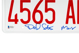 Daniel Stern Home Alone Van Plate