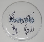 Decapitated Signed Drumhead