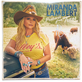 Artistic vinyl record