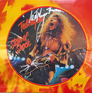 Artistic vinyl record