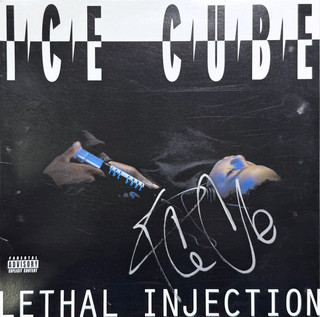 Artistic vinyl record