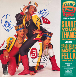 Artistic vinyl record