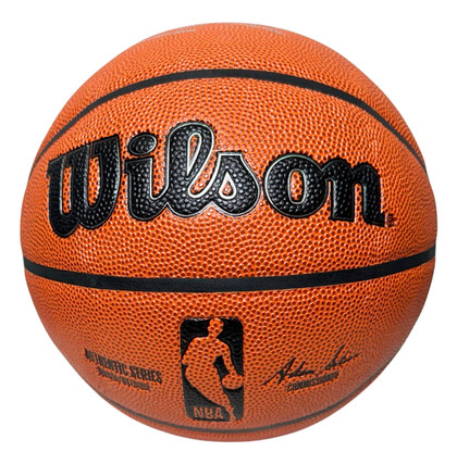 Paul Pierce Signed Wilson Authentic Basketball (JSA)