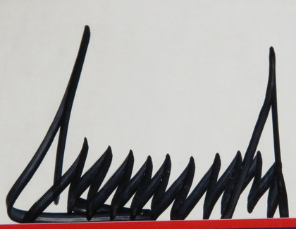 Donald Trump Signed Display