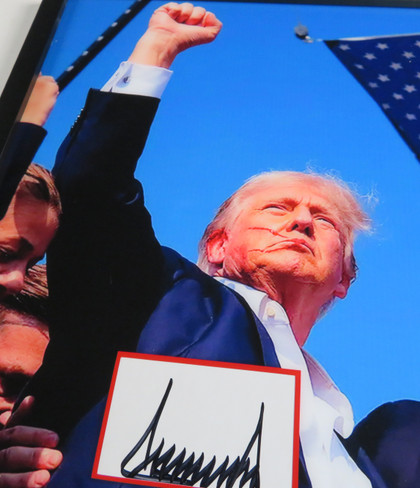 Donald Trump Signed Display