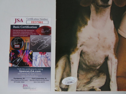 Tryin' To Get The Feeling