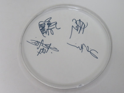 Chelsea Grin Signed Drumhead