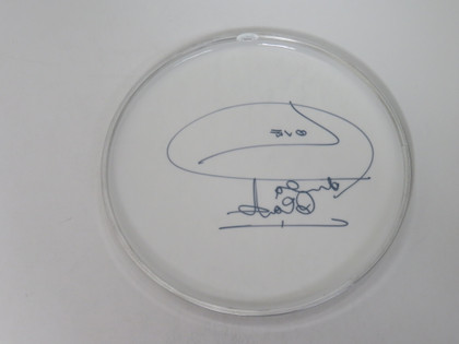 Petula Clark Signed Drumhead DD63537