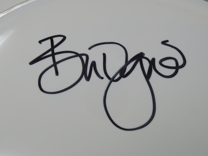Siouxsie And The Banshees Signed Drumhead AS68467